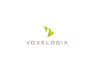 Voxelogic